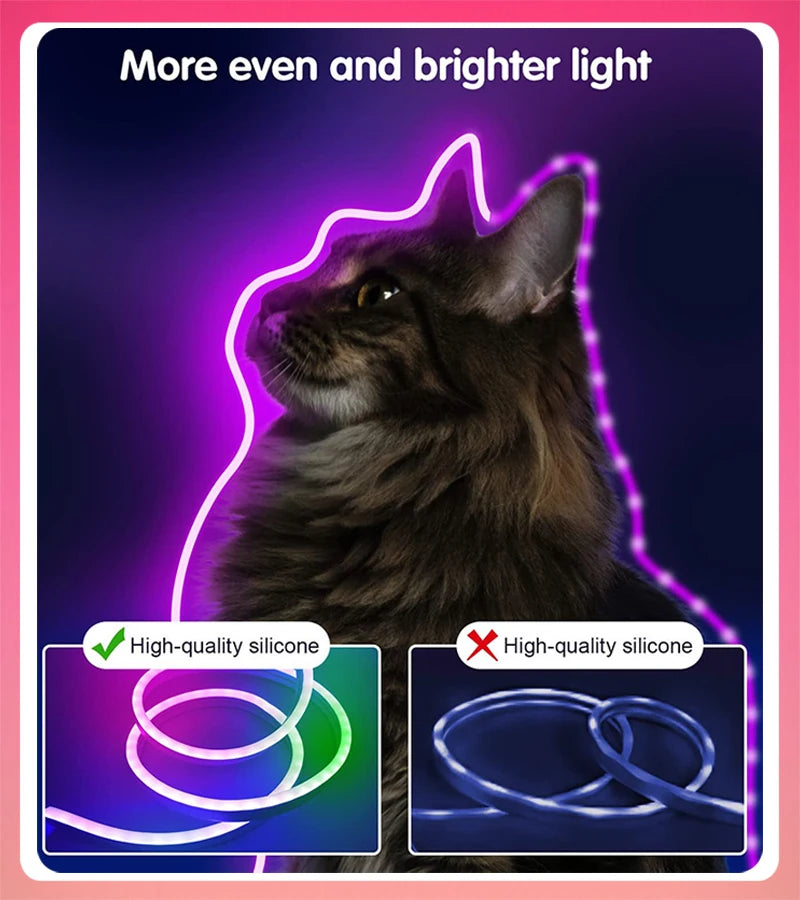 RGBIC Neon Rope Light – 10 m LED Strip with Chasing Effect