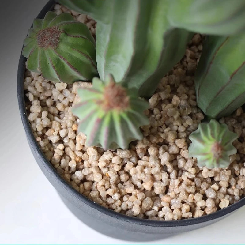 Modern Artificial Cactus Large Garden Yard Artificial Plants Decorations Elegant Plants Beautiful Fake Bonsai Aesthetic Supplies