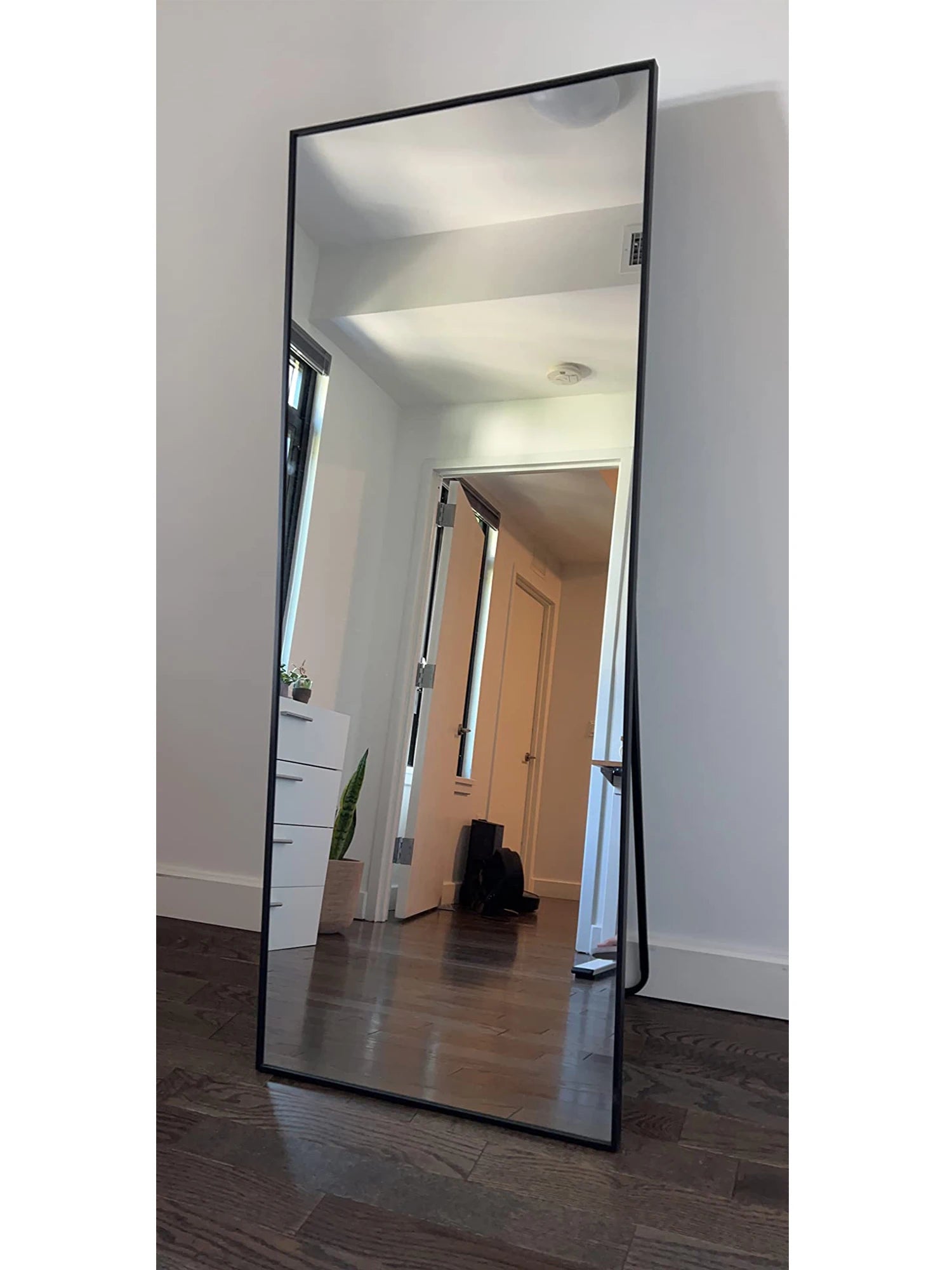CASSILANDO Full Length Mirror 65" * 24 ", Floor Standing Mirror,  Black Metal Frame Mirror， Full Body Mirror