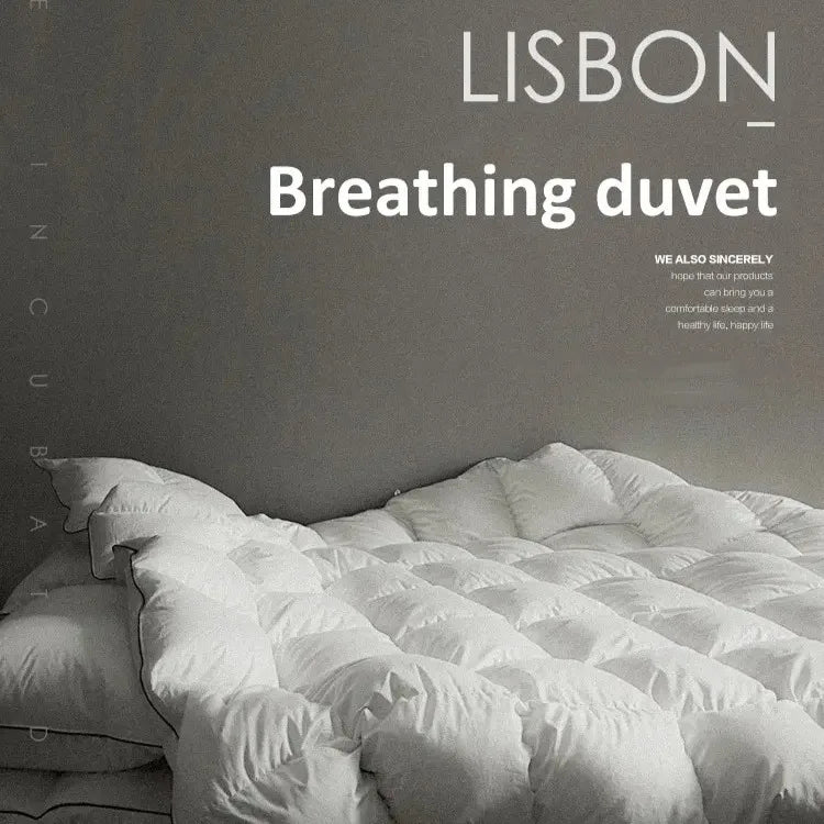 Hilton Down Comforter 5Star Hotel Quality Double Bed Quilt Luxury Gift for Couples Hilton quilt winter quilt warm thick quilt