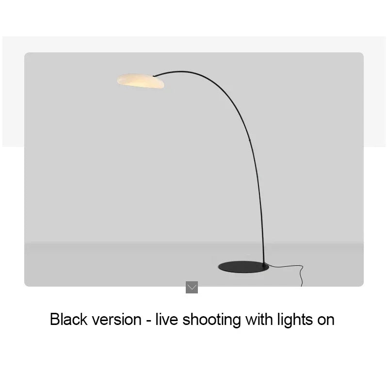 RONIN Fishing Floor Lamp Nordic Modern Family Living Room Beside The Sofa Creative LED Decorative Standing Light