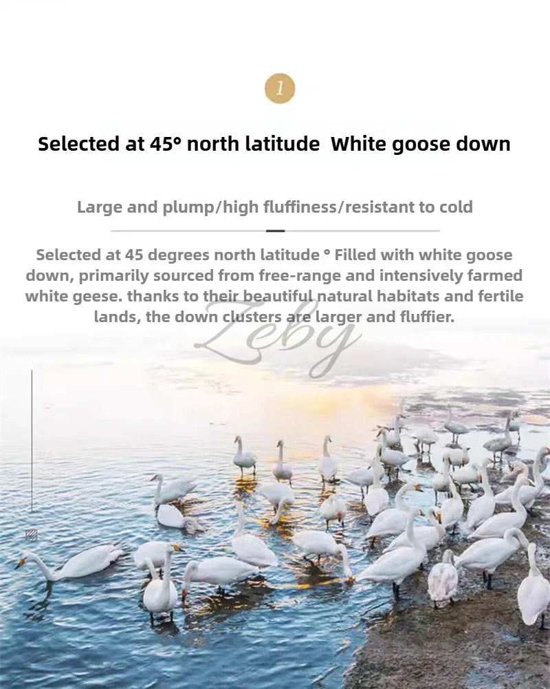 High Grade 100% White Goose Down Quilt Winter Warm Feather Duvet Queen King Cozy Lightweight 3D Bread Comforter Pinch Pleated