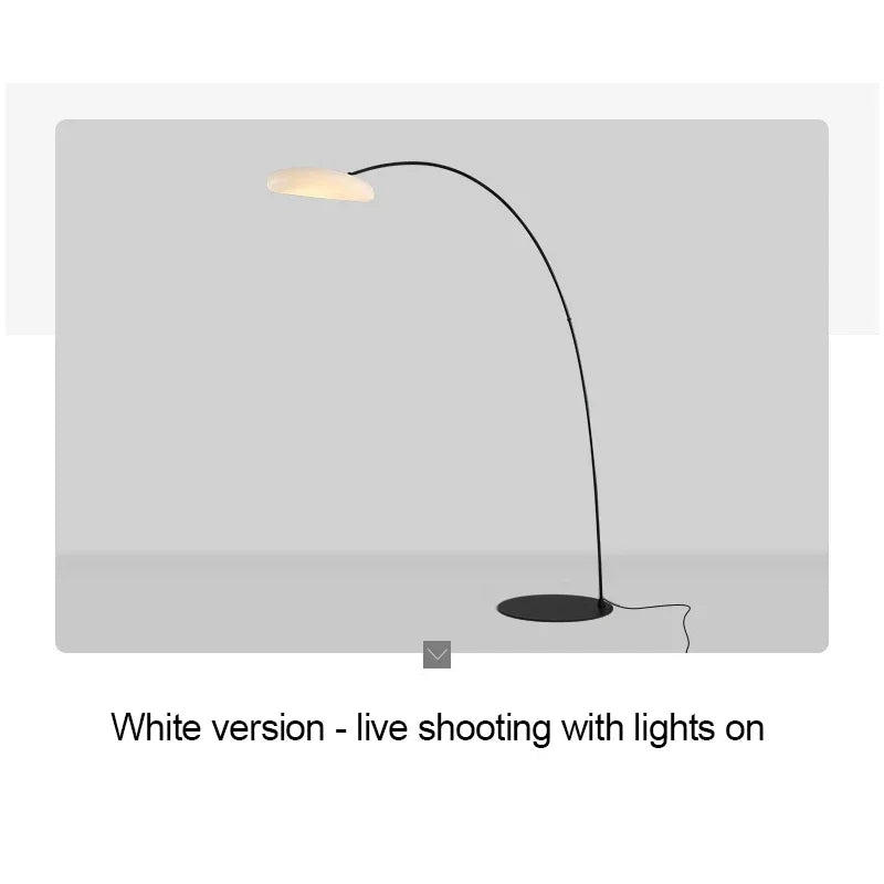 RONIN Fishing Floor Lamp Nordic Modern Family Living Room Beside The Sofa Creative LED Decorative Standing Light