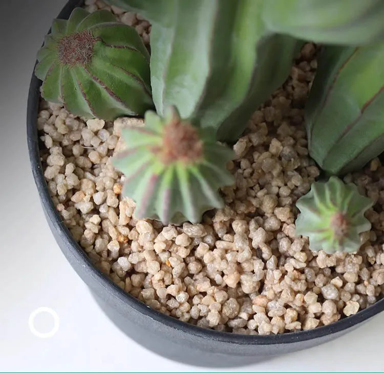 Modern Artificial Cactus Large Garden Yard Artificial Plants Decorations Elegant Plants Beautiful Fake Bonsai Aesthetic Supplies