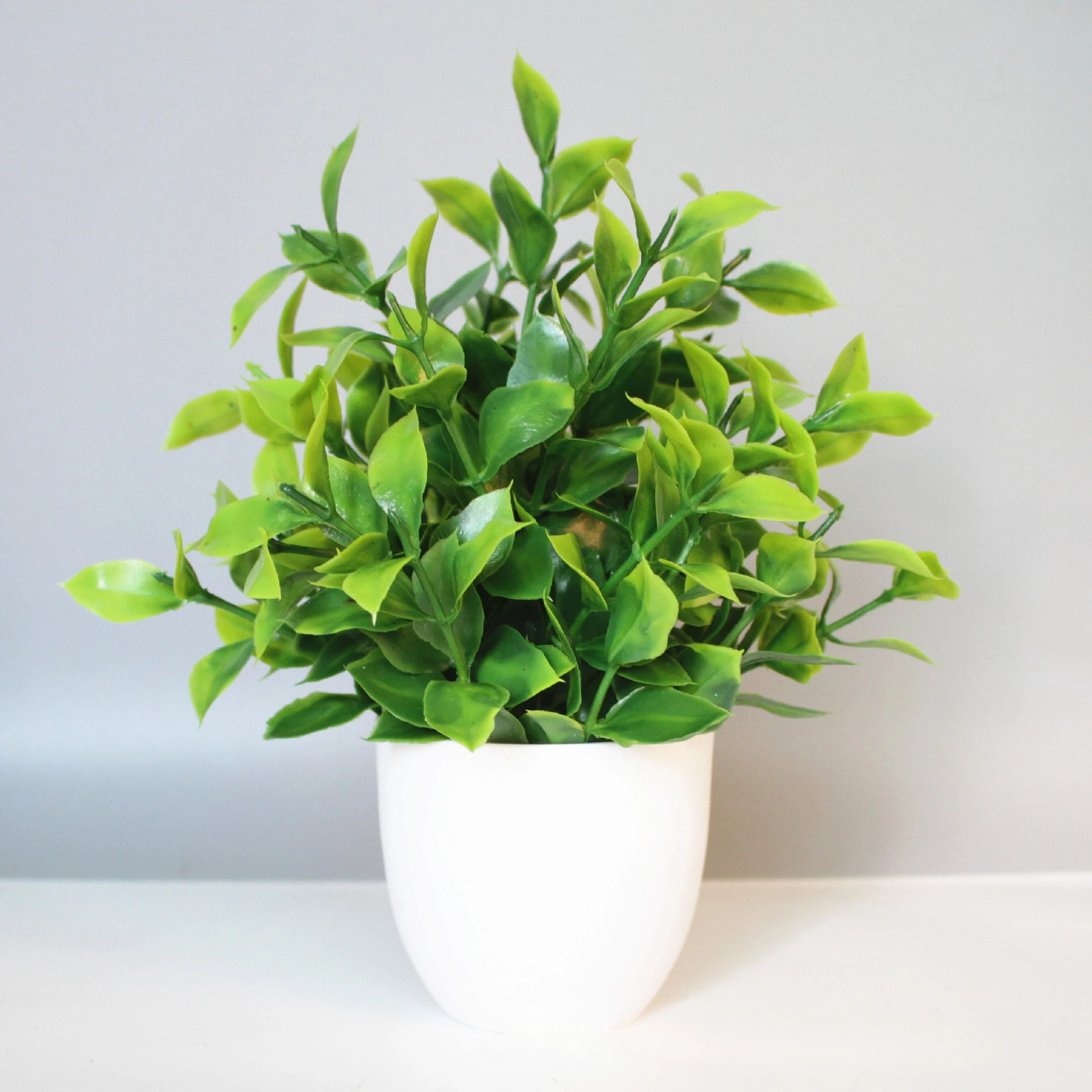 Wholesale Artificial Plant Potted Plants Fake Green Plants Indoor and Outdoor Decorations Plastic Bonsai Home Decorations