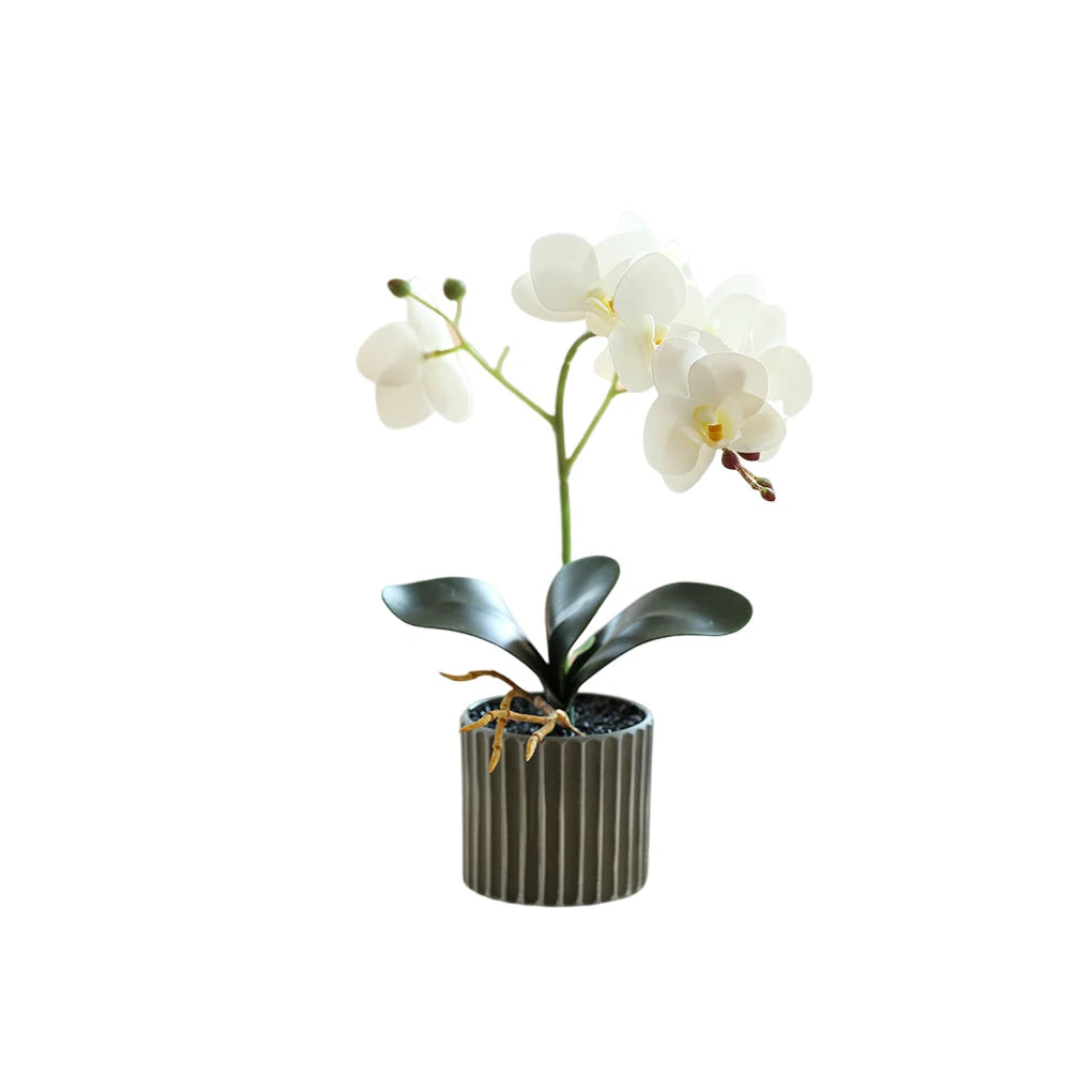 New Artificial Orchid Flower Bonsai with Pot Potted Phalaenopsis Planter Home Office Decor Bright Color Indoor Balcony