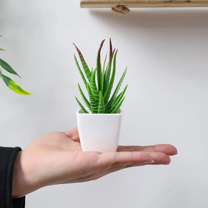 6PCS, artificial plants small bonsai, DIY crafts desktop windowsill display rack display decoration