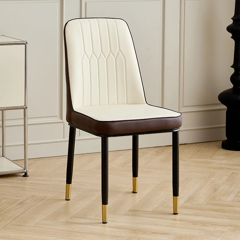 Luxury Accent Leisure Chair – Wrought Iron Upholstered Tea Chair