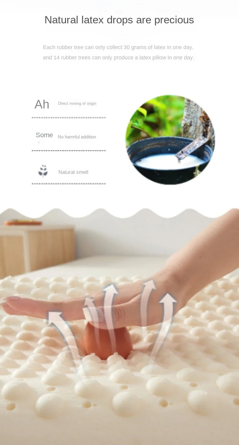 Ice coolingTechnology Thai Natural Latex Pillow Slow Rebound Health Care Memory Foam Pillow Orthopedic Pillow Neck Protector 1PC