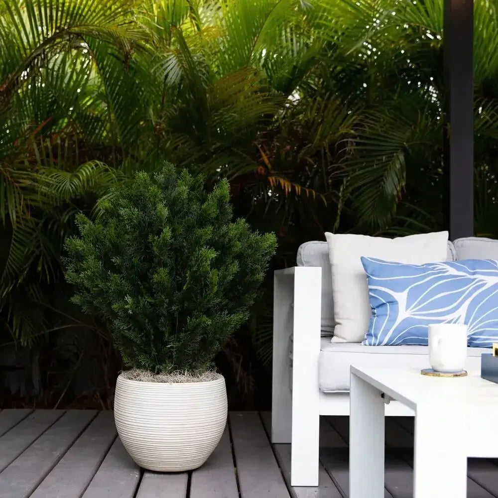 3’ Cedar Shrub Topiary Artificial Tree UV Indoor/Outdoor Home Decor.