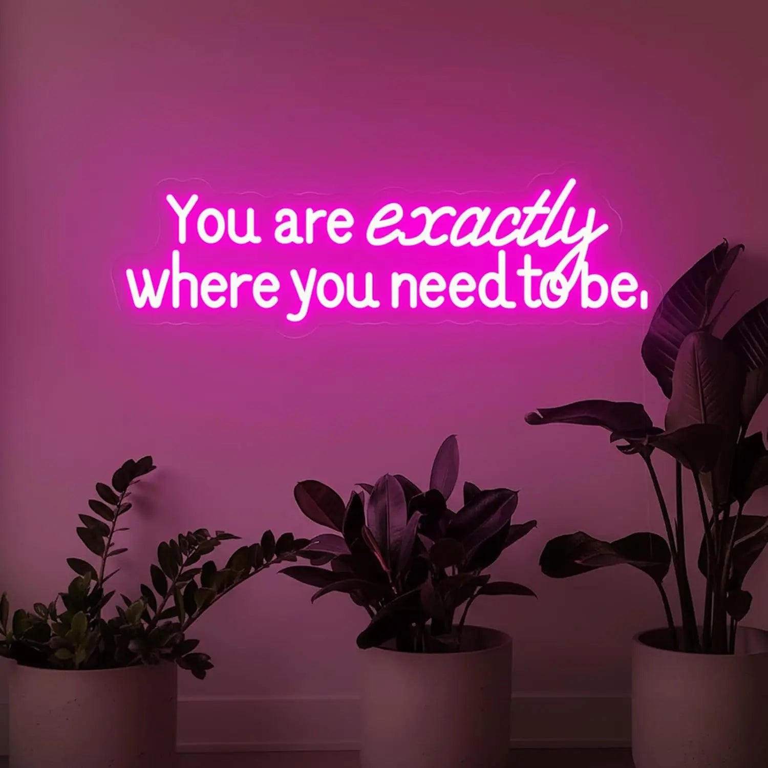 “You Are Exactly Where You Need To Be” LED Neon Sign – Wall Decor Light