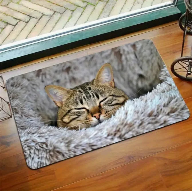 Cute Cat Pattern Door Mat "Goodbye" and "Hello!" Welcome Floor Mat Perfect Entrance Living Room Kitchen Door Mats Decoration